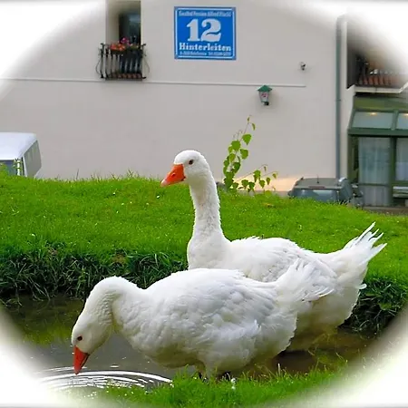 Hotel Flackl - Wirt