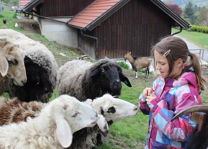 Szálloda Flackl - Wirt 3*